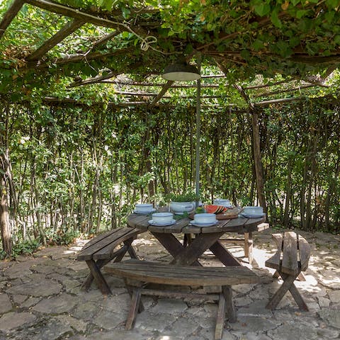 Dine under the shade of the pergola with beautiful gardens wrapping around you