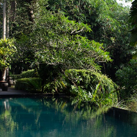 Connect with the healing power of nature while swimming in the pool