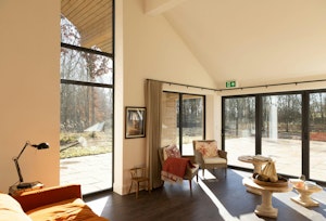 Blue Lark image 15