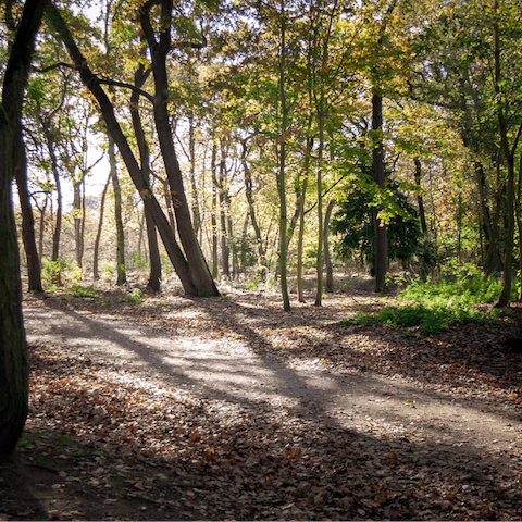 Go for a stroll in the Bois de Boulogne, 200 metres away