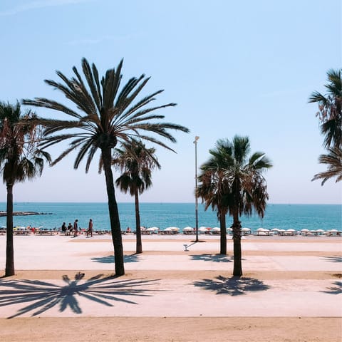 Picnic on Barceloneta Beach, around 3.5 kilometres away