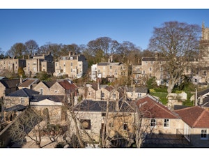 Have I Got Mews for You image 12