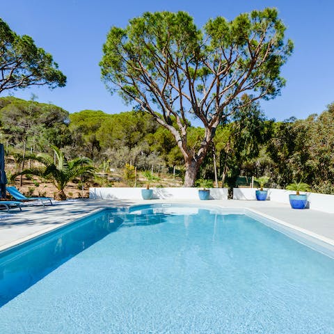 Make a splash in the private pool and float underneath the cloudless blue skies