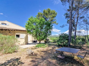 French Countryside Embrace image 9