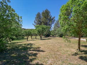 French Countryside Embrace image 6