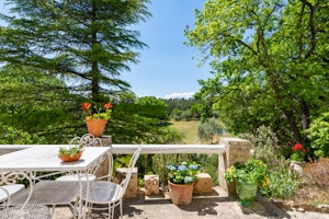 French Countryside Embrace image 3
