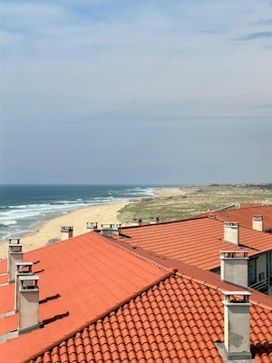 Dune Dancer image 11