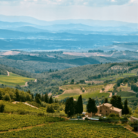 Take an afternoon drive through the Chianti countryside