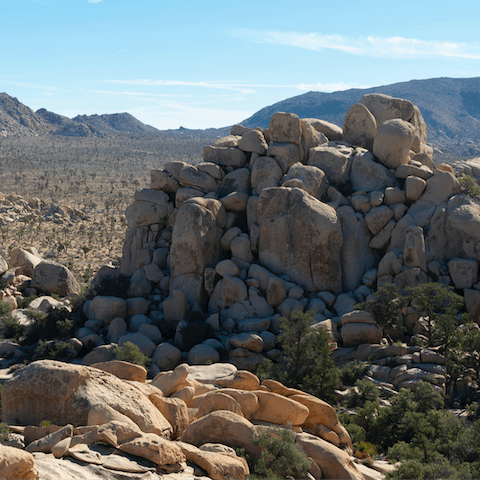 A fifteen-minute drive to the entrance of Joshua Tree National Park