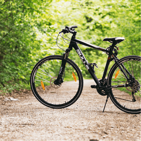 Rent some bikes and explore the mountain trails