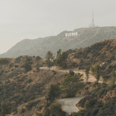 Immerse yourself in the fabled magic of the Hollywood Hills, staying in a home with an Elvis Presley connection