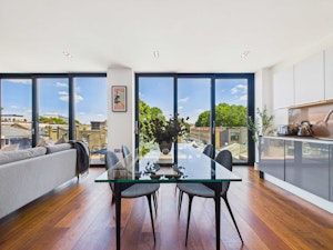 The Lively Zone image 12