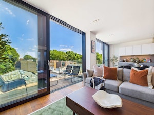 The Lively Zone image 11