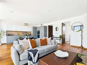 The Lively Zone image 4