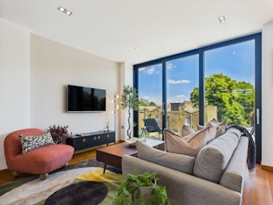 The Lively Zone image 2