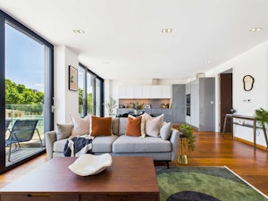 The Lively Zone image 1