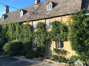 The Sage Herd image 1