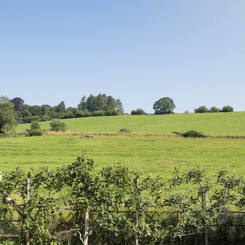 Take in countryside views to the rear 