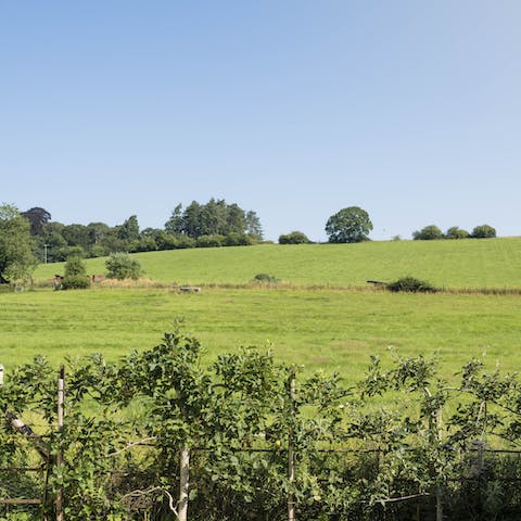 Take in countryside views to the rear