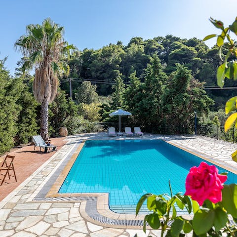 Splash about in the villa's private swimming pool overlooked by dense vegetation