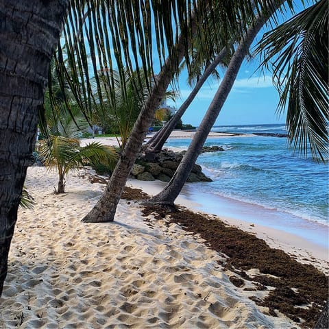 Discover the serene beaches and crystal clear waters of Barbados