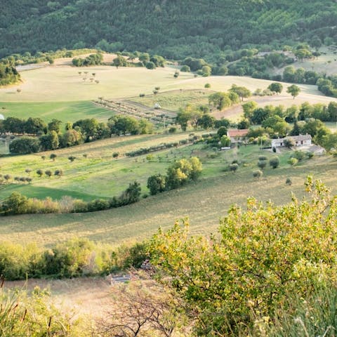 Explore the glorious countryside that surrounds San Daniele del Friuli