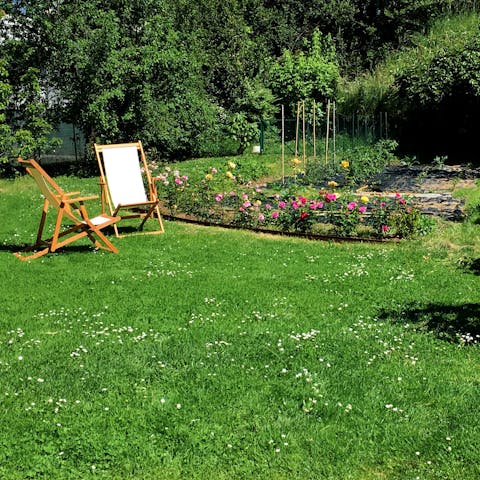 Enjoy the sunshine in the lush garden