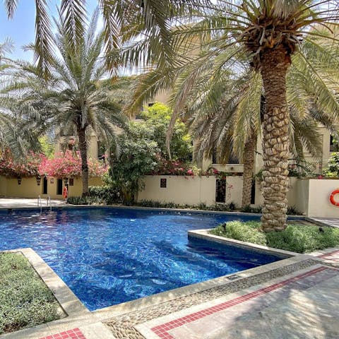 Cool off from the desert sunshine in the communal pool, surrounded by swaying palm trees