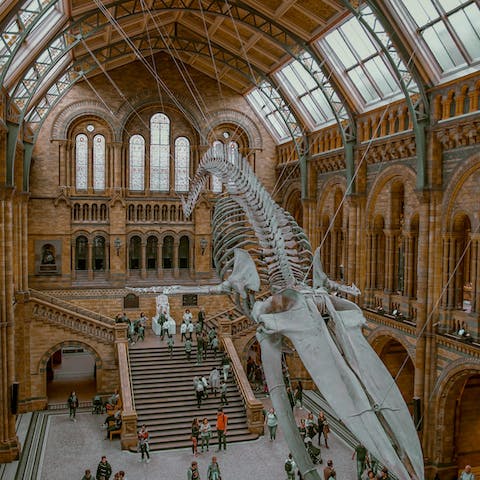 Explore the Natural History Museum, a ten-minute stroll from this home
