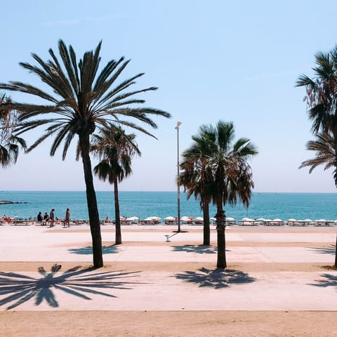 Take the twenty minute drive to Barceloneta Beach