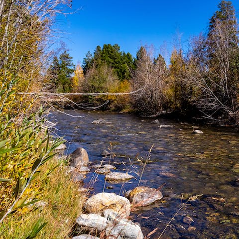 Go for a hike in the glorious White River National Forest
