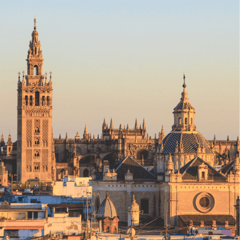 Soak up the beauty of Seville while exploring the city centre