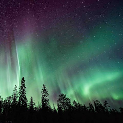 See the Northern Lights from the private terrace