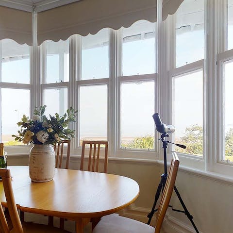 Take a peek at the wildlife thriving in the bay from the comfort of your living room