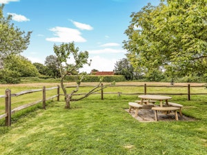 Fields of Birdham image 7