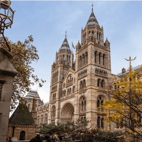Discover South Kensington's world-class museums – the Natural History Museum is a four-minute walk away