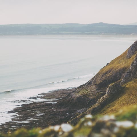 Explore the wonderful beaches of the Gower nearby