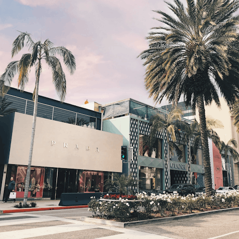 Take a fifteen-minute drive to Rodeo Drive