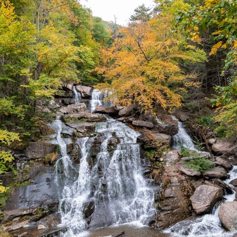 Explore the Catskills, including the Delaware River nearby