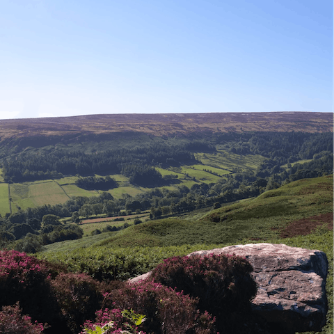 Enjoy long walks in the nearby North York Moors National Park 