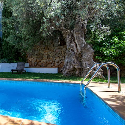Cool off with a gentle swim under the ancient olive tree