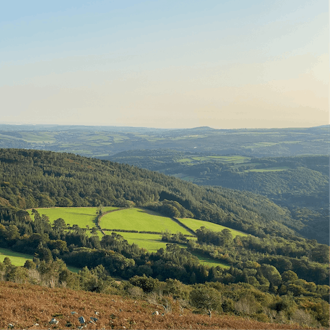 Explore the striking landscapes of Dartmoor National Park, an hour's drive away