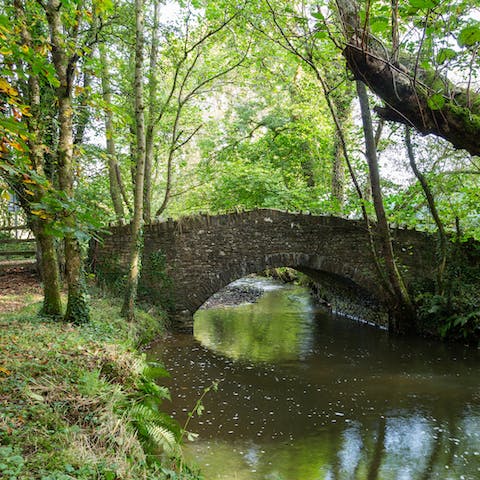 Wander the grounds right outside your front door and fall in love with the slower pace and natural beauty country life