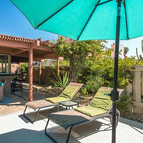 Lounge in the Palm Springs sun