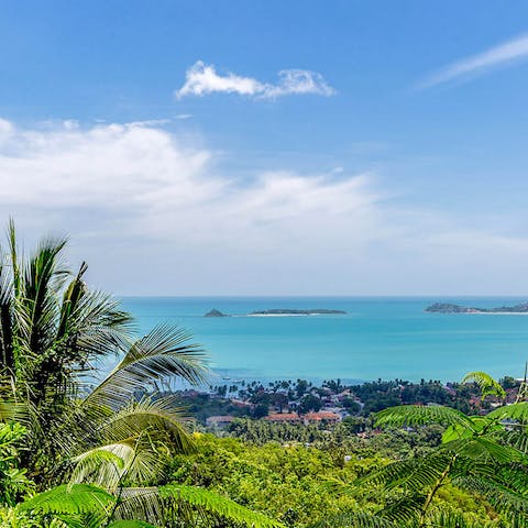Stay in the lush green hills of Koh Samui, overlooking the stunning sea vistas 