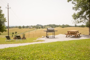 Once Upon a Farm image 10