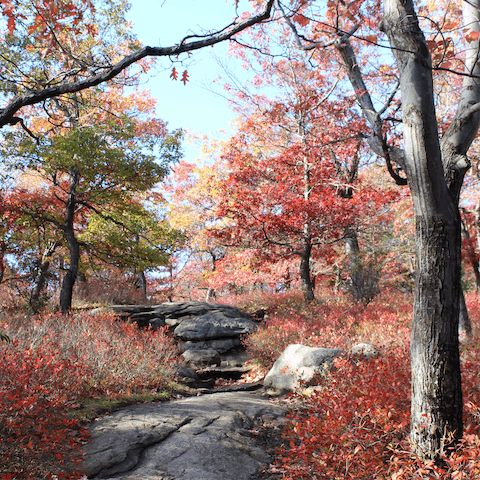 Lose yourself in nature at Bear Mountain State Park, just a a twenty-minute drive away