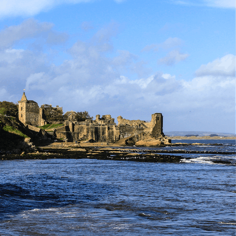 Take the short drive to nearby St Andrews