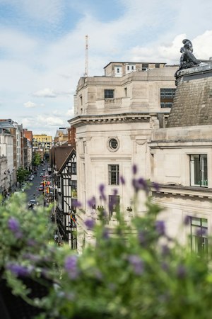 Cityscape Haven image 6