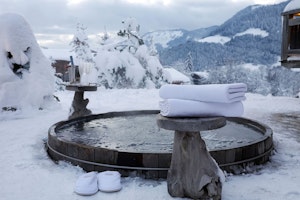 Alpine Chateau image 2
